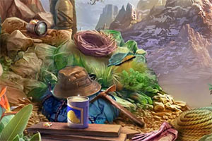 Σ�յ�����