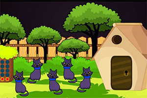 �ȳ��������ڹ�