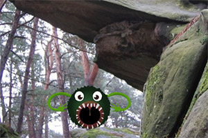 ��ԮС����