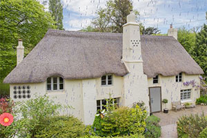 �����к�����