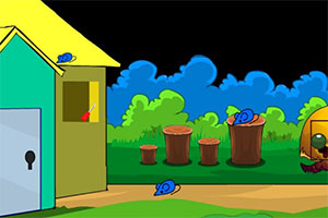 ��Ƭ��������