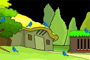 �Ժ���è����