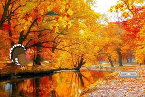 �뿪�＾��ɭ��