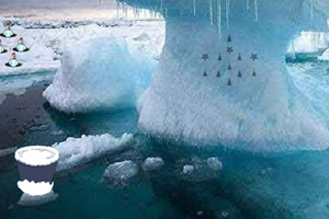 ѩ����è����