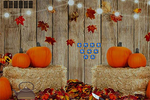 �������Ȳ�