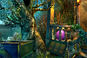 ��Ԯ������ʳ��