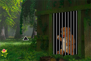 �ȳ�����������