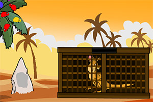 ��ԮС����