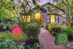 ����ɭ������