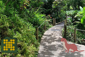 ���������Ĵ���