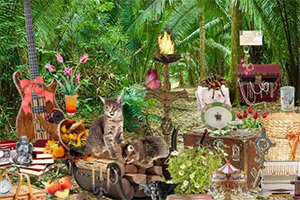 ��ʧ������