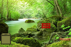 �ٲ�ɭ������