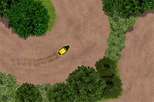 �����Ծ���