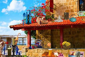 �ϾɵĿ�����