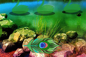 �����ȸ½��