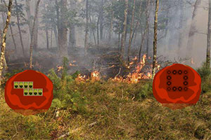 ȼ�յ�ɭ������