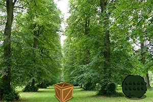 ��ȸ�ӳ�ɭ��