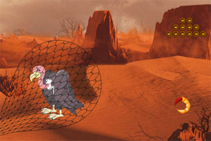 ͺ������