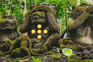 ������ӵ�����