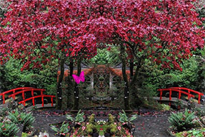 ���ܹ�԰�Ҳ�ͬ