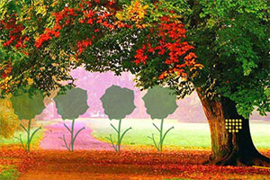 ���صĻ�����