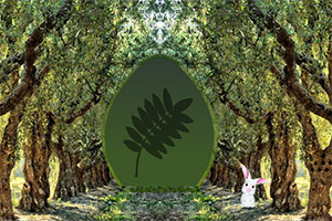 ���������԰