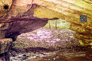 ��ׯ��Ѩ����