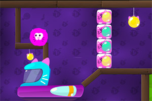 ����̫��è