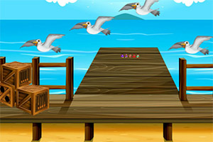 ��̲��������