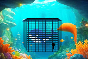 ���ȱ����ľ���