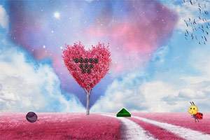 ����������׵�