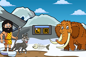 ��ɫ����������