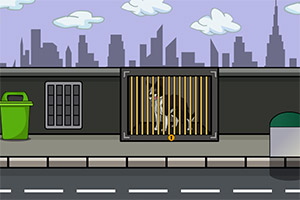 ����Ȯ������