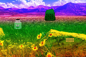 ���ɽ������