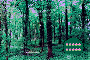 ������������