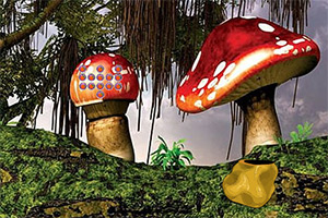 ���뾭��ħ��ɭ��