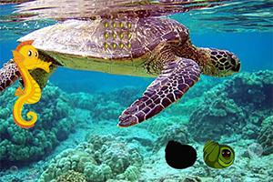 ��Ԯ����