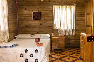 ɭ��ľ�Ʒ���