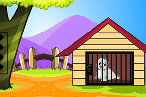 ��Ԯ�ɰ��ĺ���