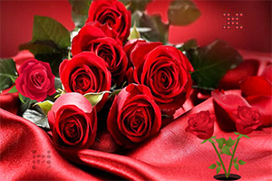 ����õ������