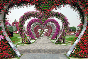 �����ƺ����