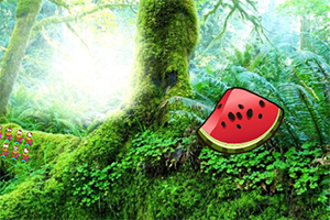 �ȳ�������