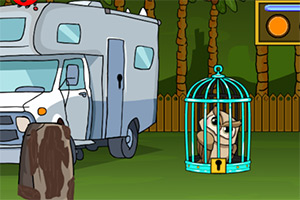 �ȳ�������èͷӥ