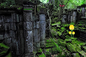 Ѱ�����˹�