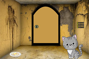 ��Ԯ�޹���è