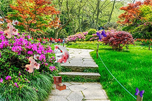 �ӳ���ɫ��԰2