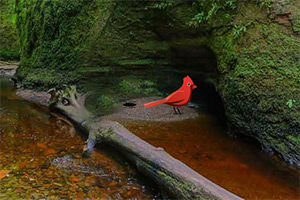 ������̦ɽ��