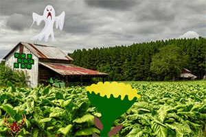 ��������ɽ��