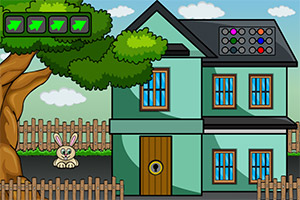 ������èͷӥ����