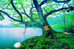 �������ѵ�����